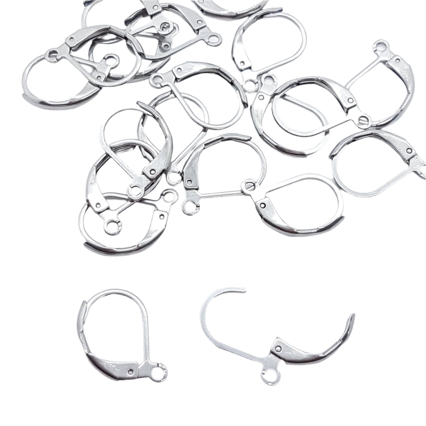 20pc Stainless Steel Leverback Earring Hooks