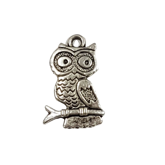 10pc Silver Owl on perch with big eyes Charm