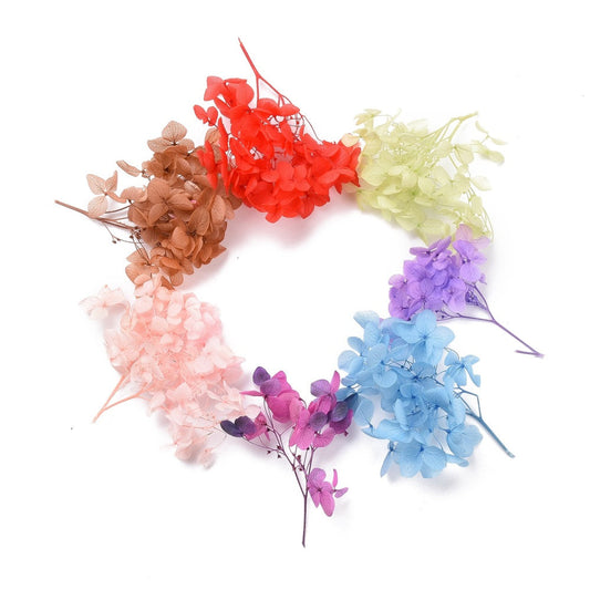 Mixed Dried Hydrangea Flowers