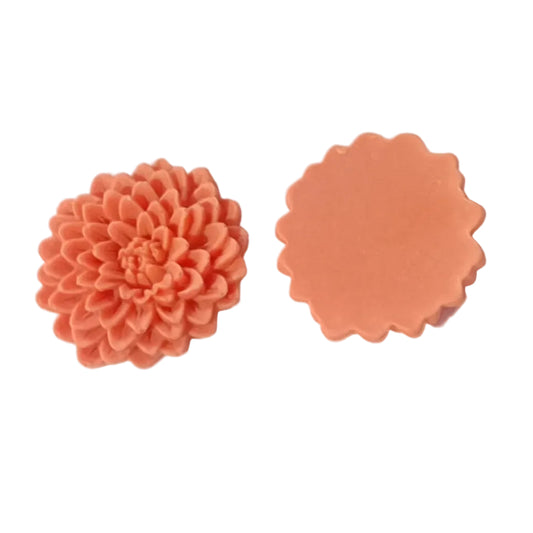 2pc Orange Pink Resin Flowers