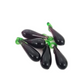 Egg Plant Lampwork Glass Bead
