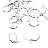 20pc Stainless Steel Leverback Earring Hooks