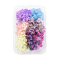 Mixed Dried Hydrangea Flowers