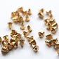 50pc Gold Earring Backs