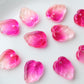 10pc Two Tone Pink Glass Leaves