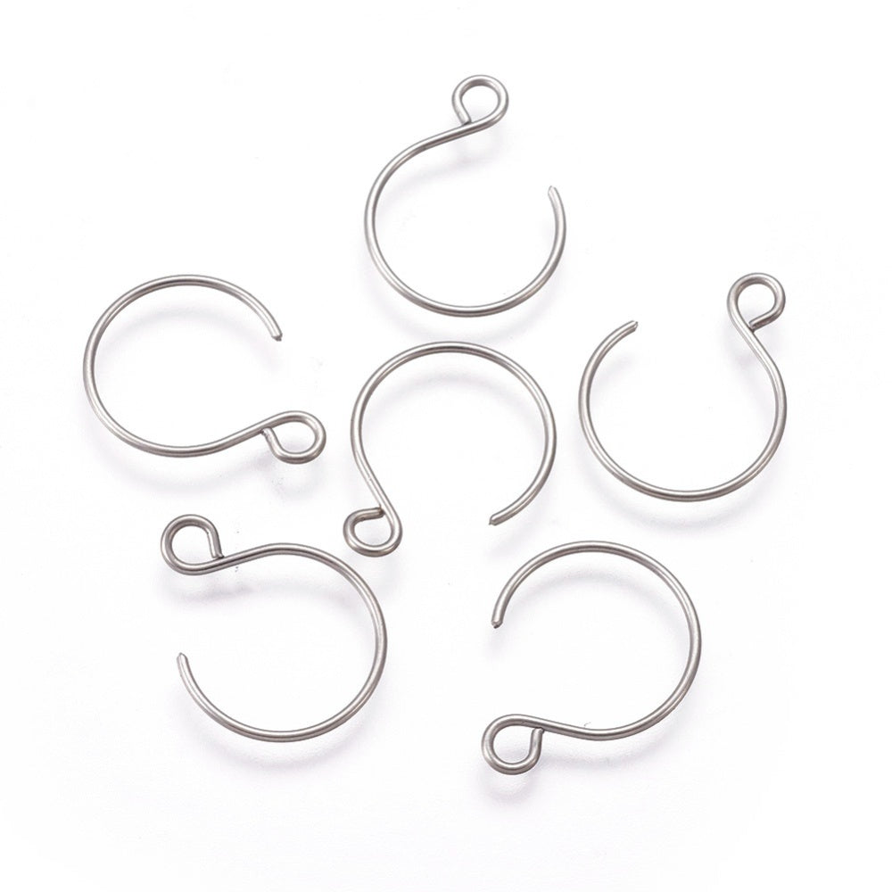 10pc Stainless Steel Earring Hooks