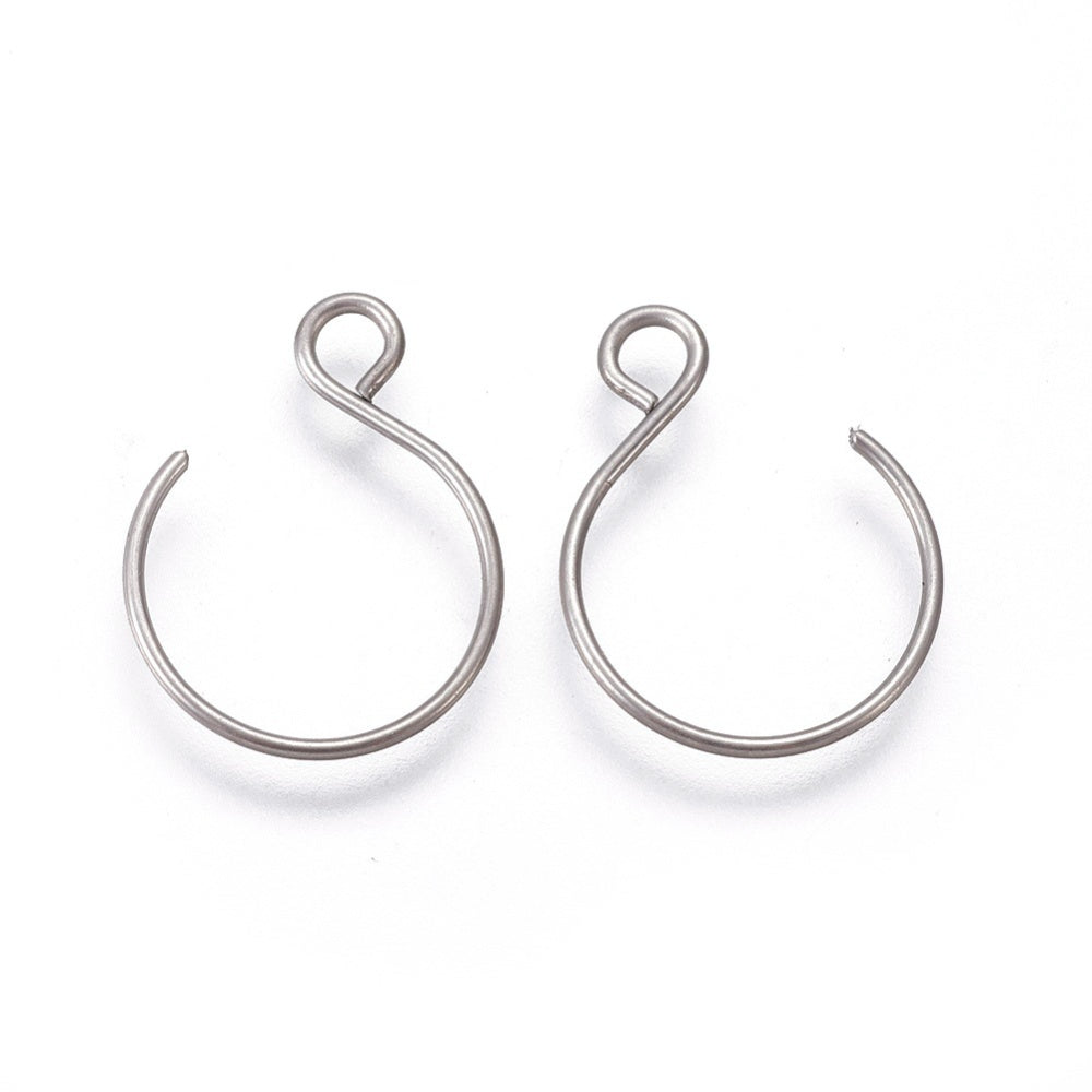 10pc Stainless Steel Earring Hooks