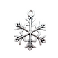 10pc Antique Silver Snowflake Charms