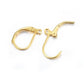 10pc 24k GP Leverback Earring Hooks