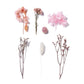 Mixed Vintage Pink Dried Flowers