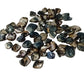 20pc Shell Pack