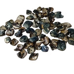 20pc Shell Pack
