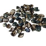 20pc Shell Pack